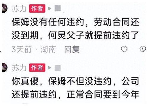 实名爆料何炅视频在线观看,揭秘背后惊人真相  第3张